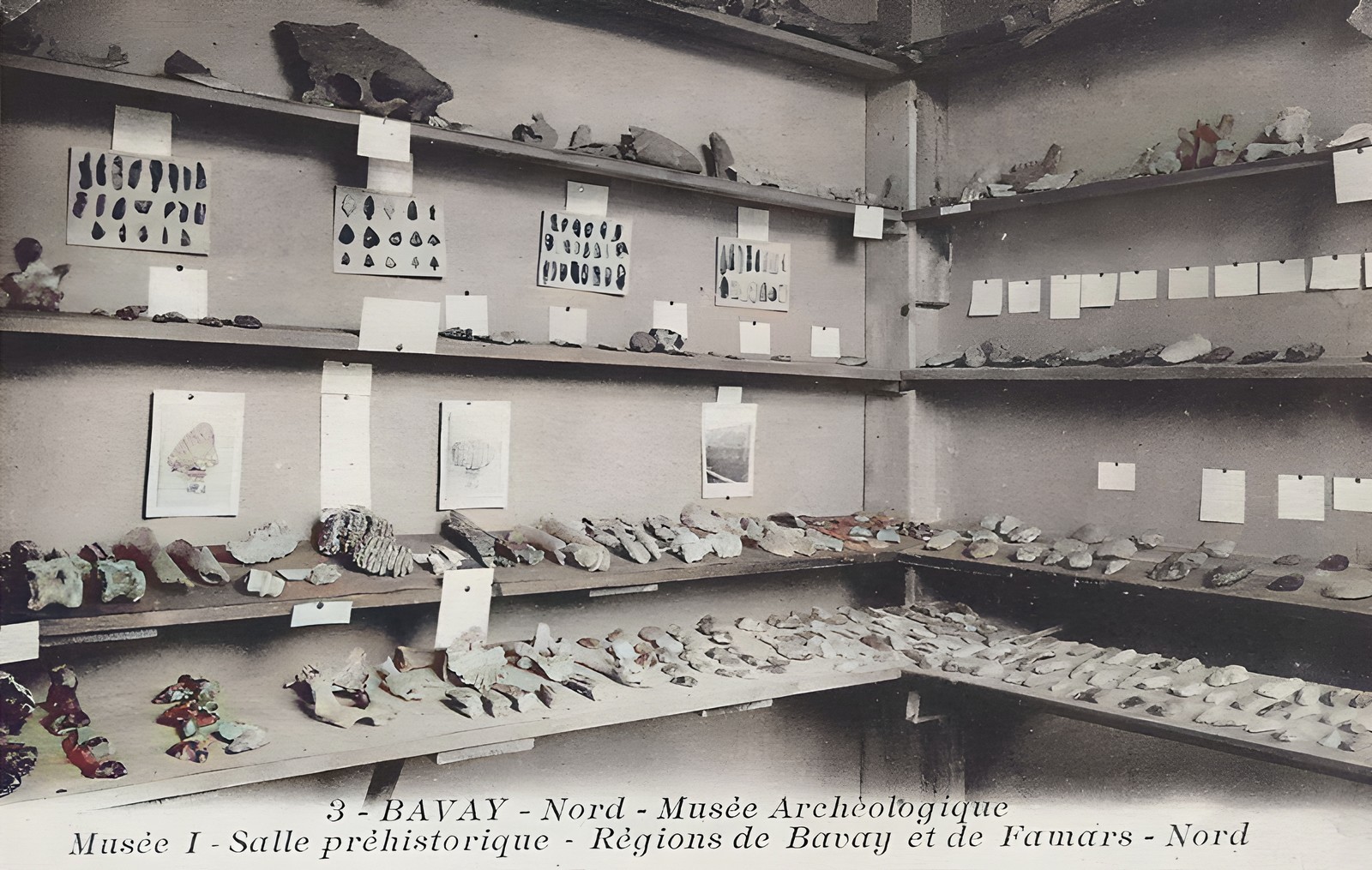 photos des collections de l'ancien musée de Bavay