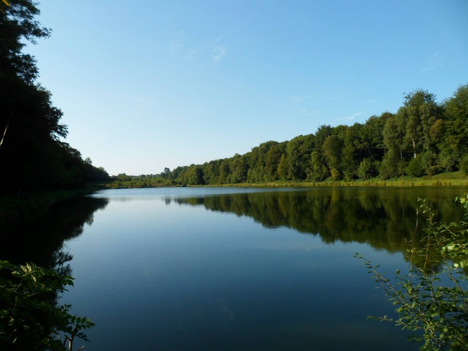 Etang de Milourd à Anor.