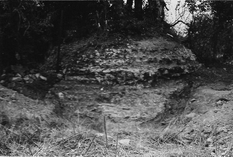 Vestiges de l'aqueduc Floursies Bavay à Vieux Mesnil