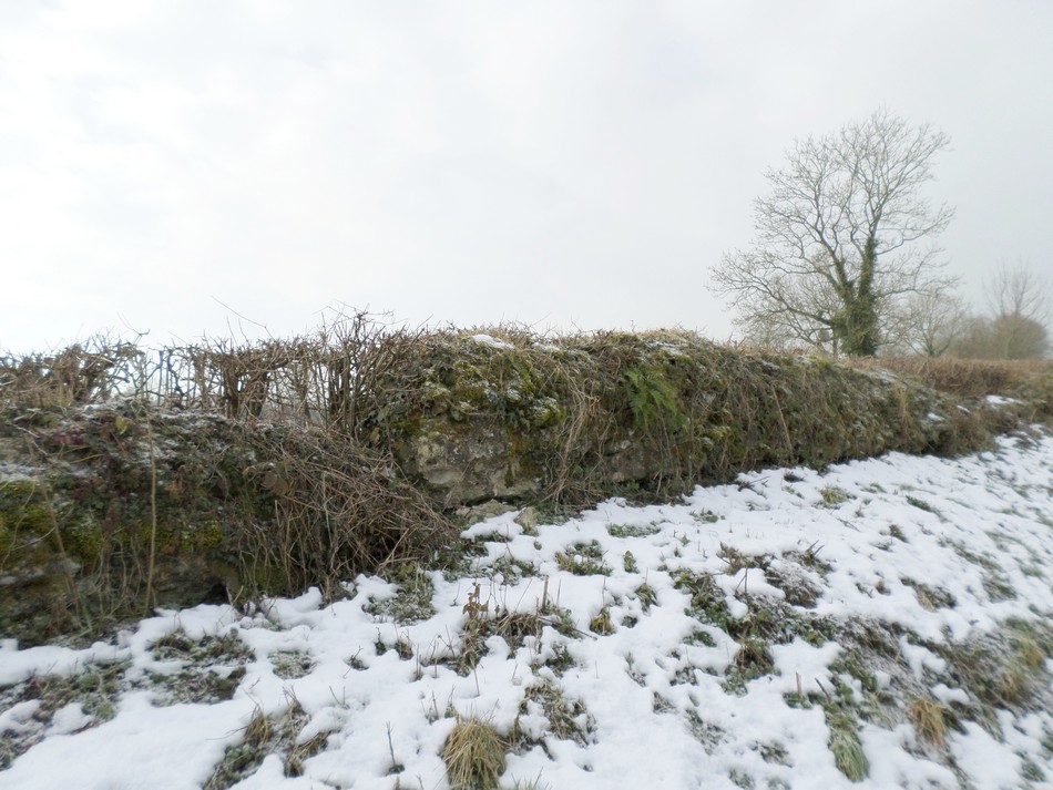 Le mur des Sarrasins à Dourlers.