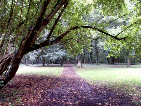 Parc du château d'Audignies