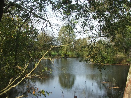 Aulnoye Aymeries : motte féodale, les douves