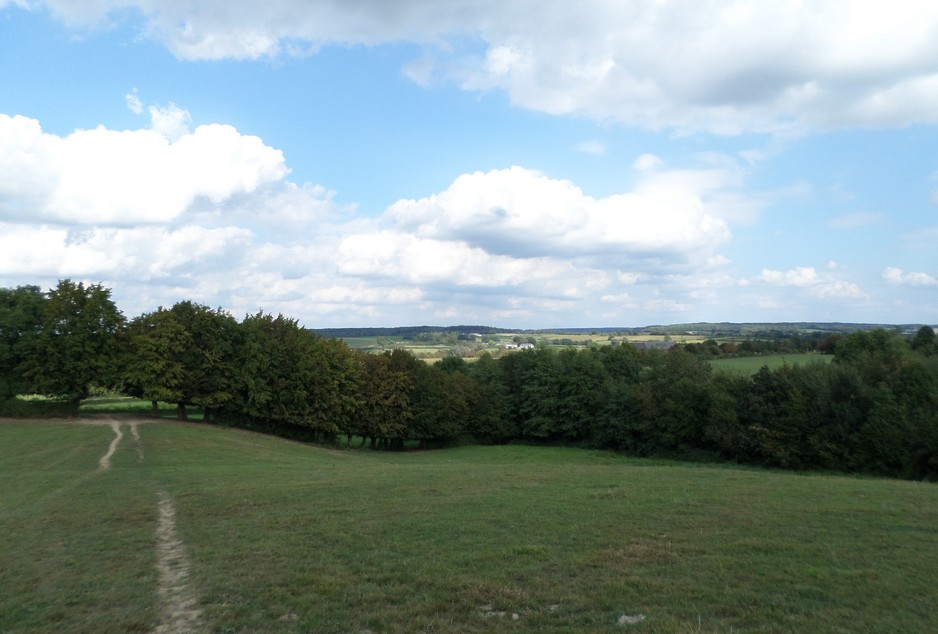 le bocage près d'Avesnelles