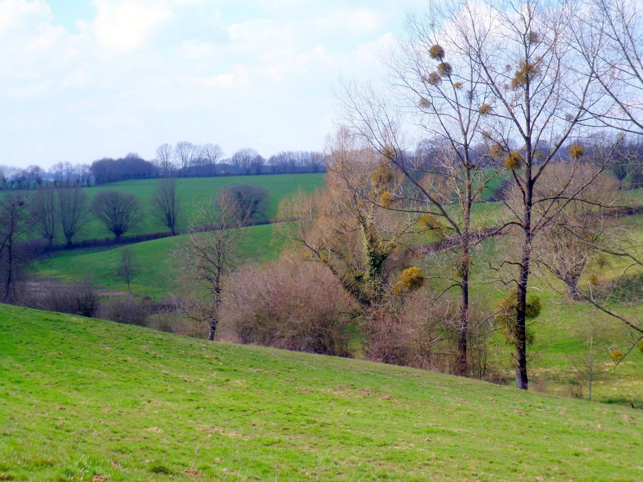 La campagne autour de Bas Lieu.