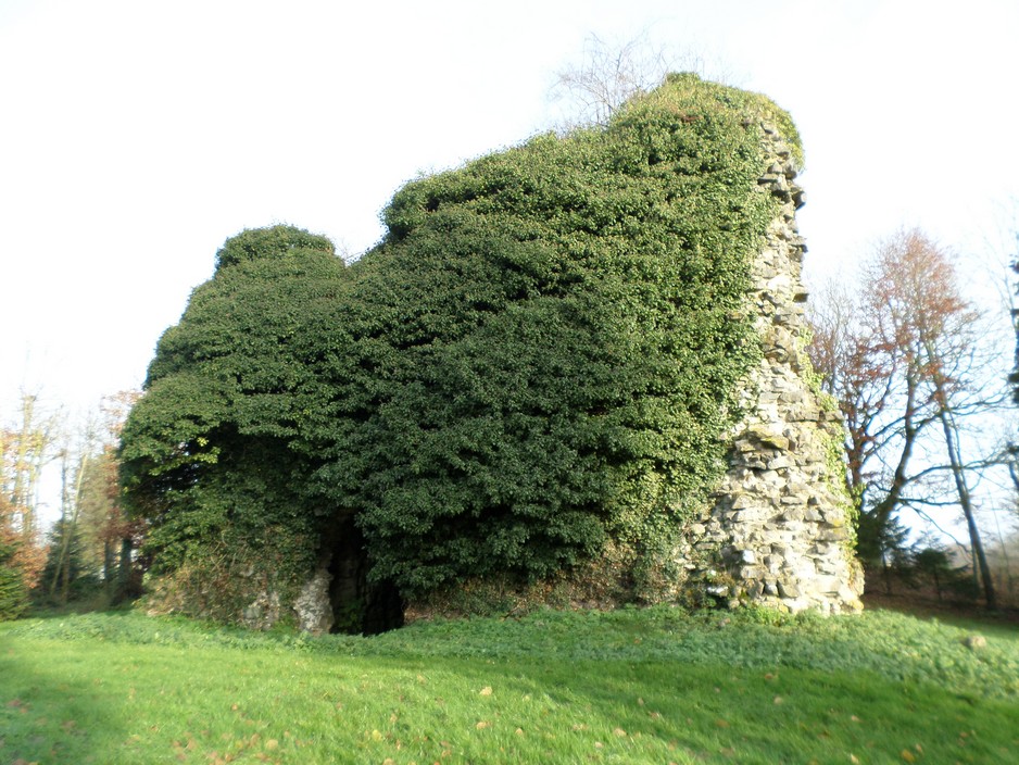 Tour féodale dite "Sarrasine" à Beaufort