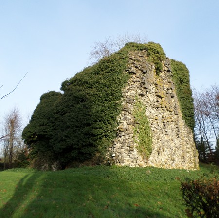 Tour féodale dite "Sarrasine" à Beaufort.