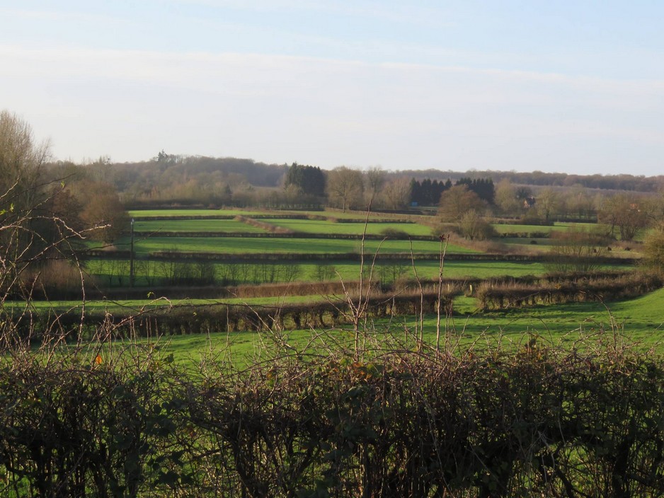 Le bocage et ses haies à Berlaimont.