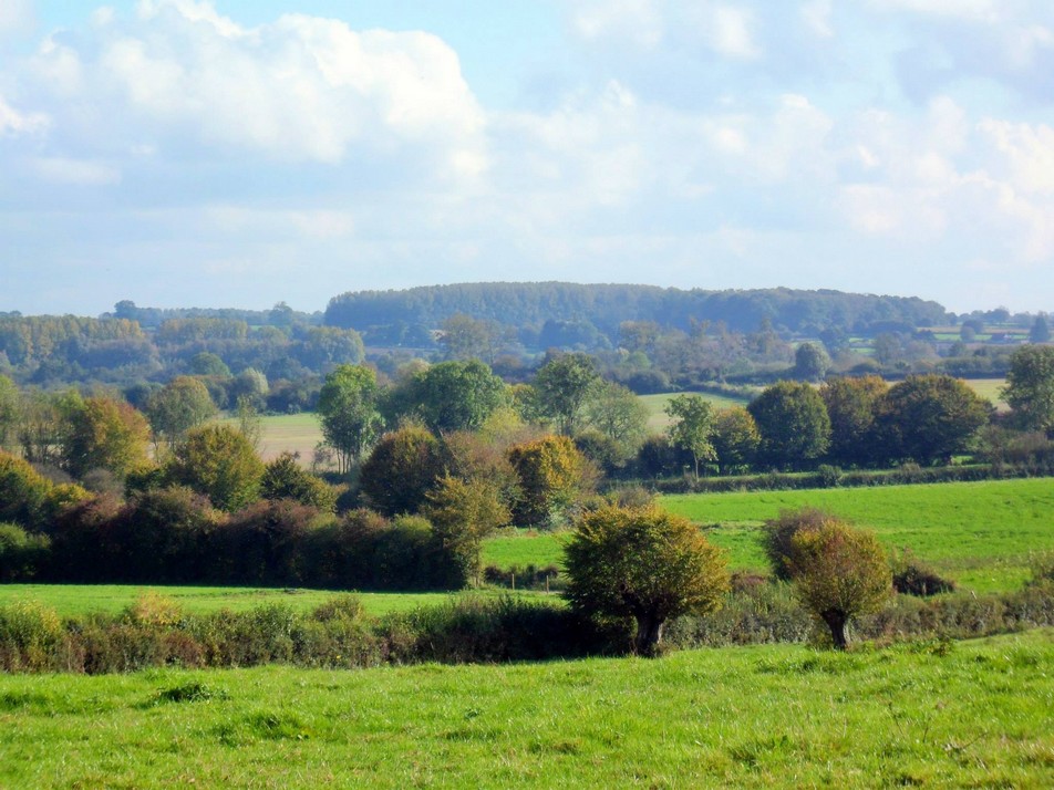 Paysage à Berlaimont