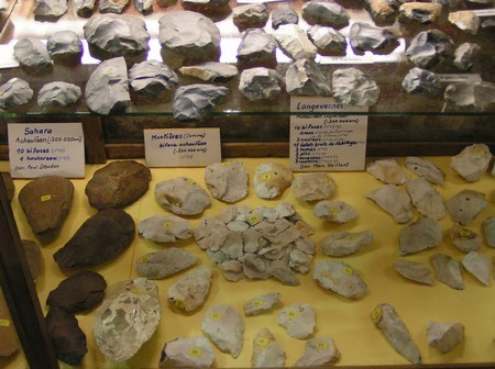 Musée des Evolutions
