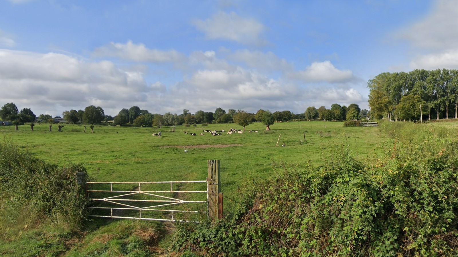 La campagne à Cartignies.