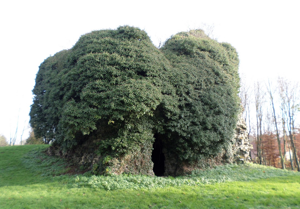La Tour sarrazine à Beaufort