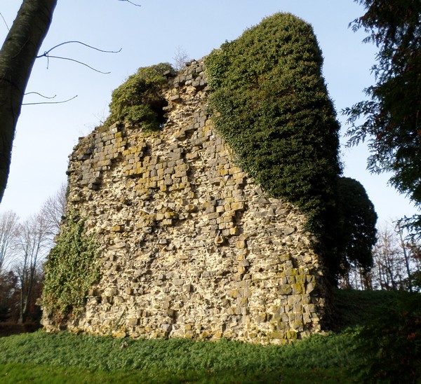 La Tour sarrazine à Beaufort