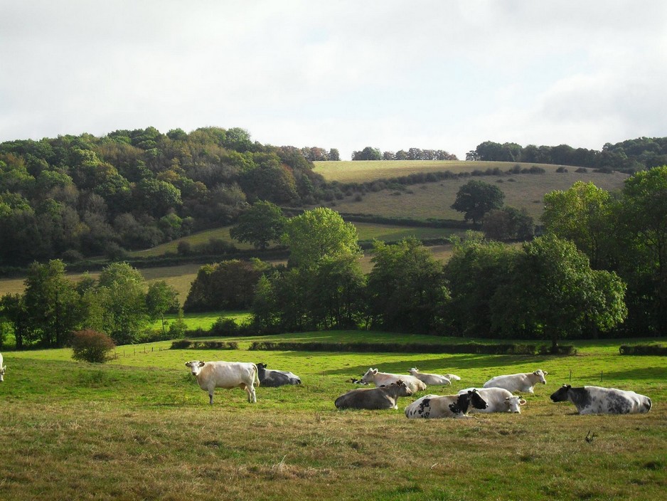 Paysage au hameau de Reugnies à Cousolre