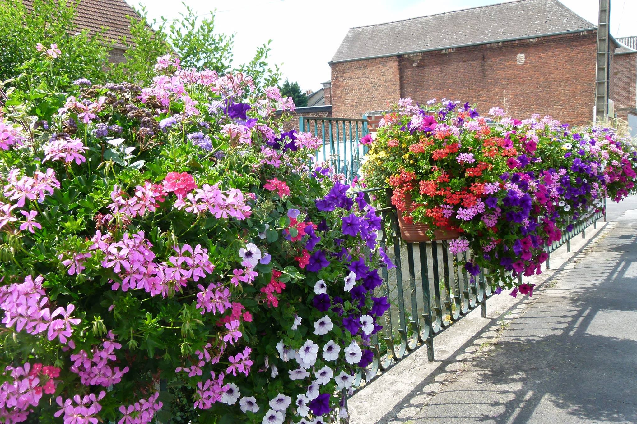 Cousolre, village fleuri de l'Avesnois