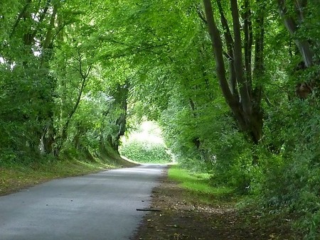 Chemin du château à Eclaibes.