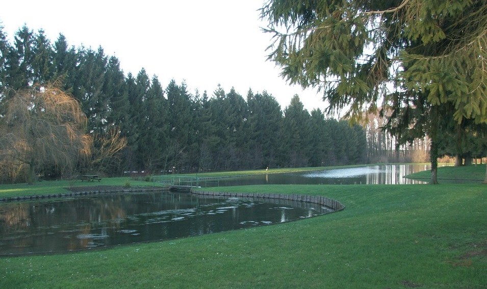 Etang d'Elesmes
