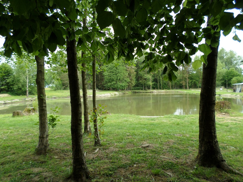 Etang du moulin de l'hôpital à Elesmes.