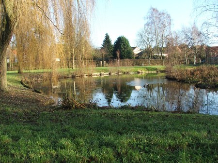 Etang fédéral à Englefontaine