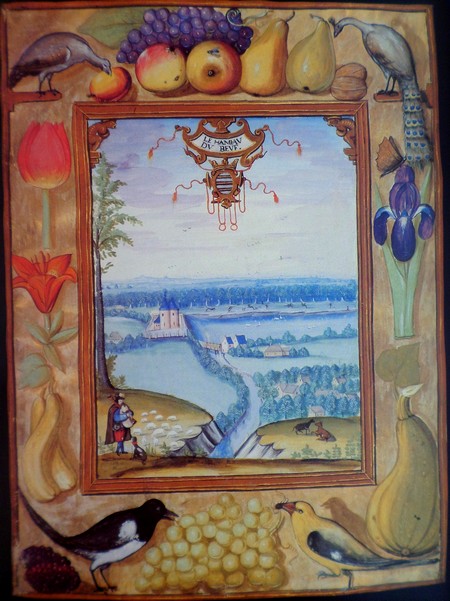 Étroeungt sur les albums de Croÿ