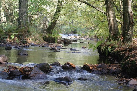La Belleuse à Felleries