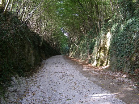 La voie verte à Ferrière la Grande