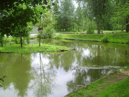 Etang de la Garenne à Ferrière la Petite