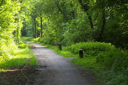 La voie verte à Ferrière la Petite