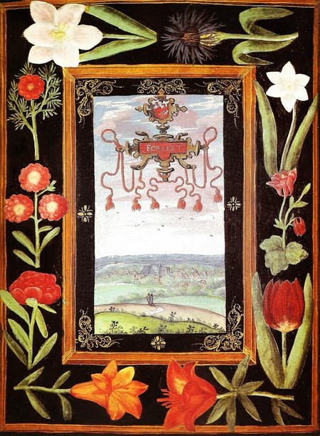 Forest en Cambrésis sur les albums de Croÿ.