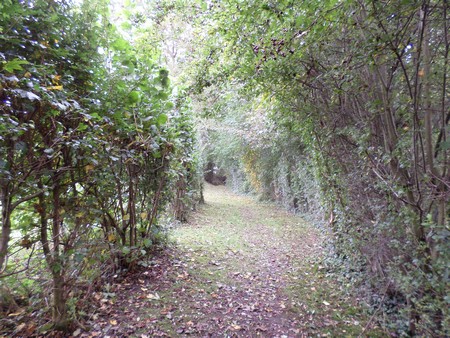 Les caches de Frasnoy