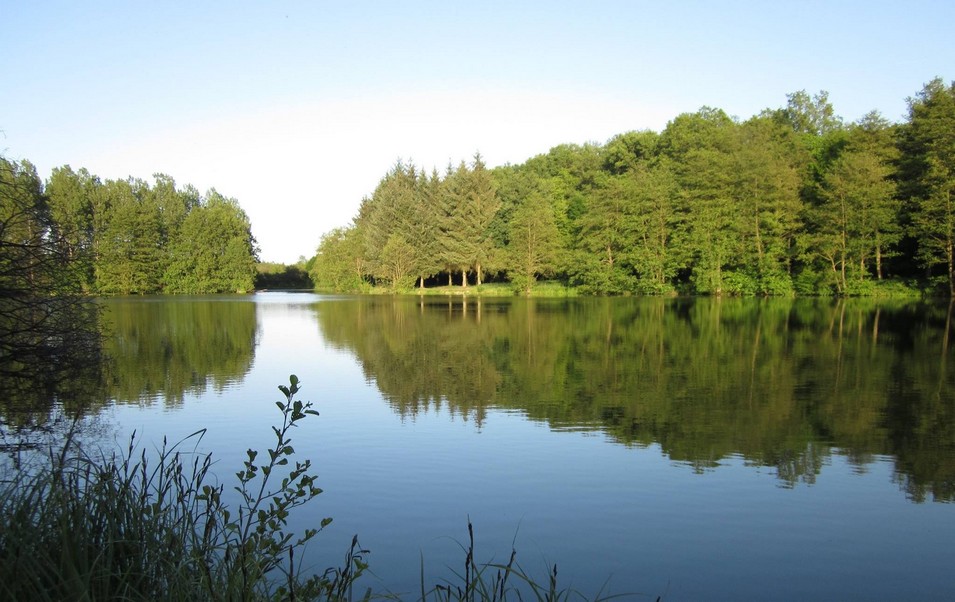 L'étang de la Forge à Glageon