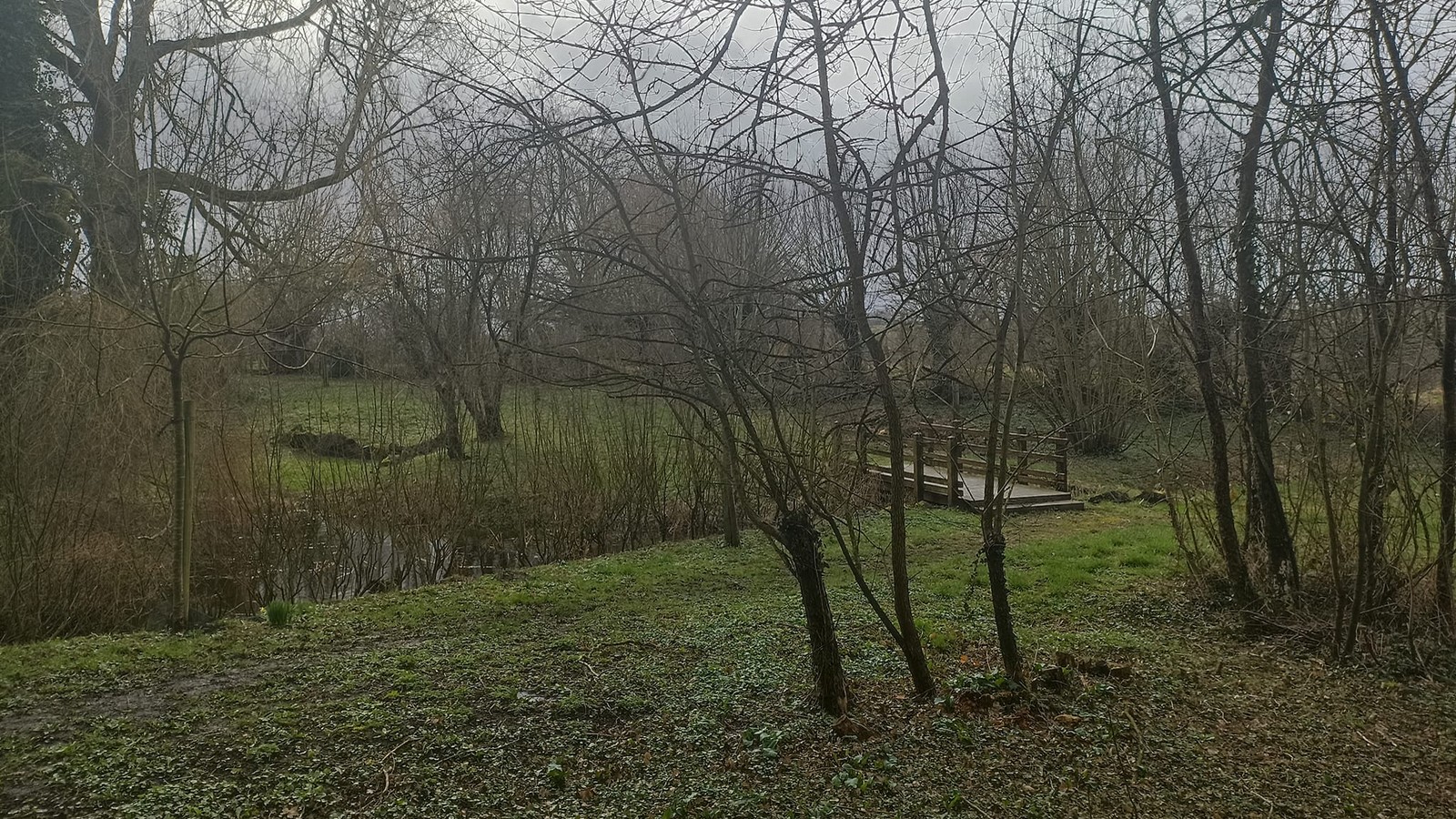 Le jardin naturel de Gussignies