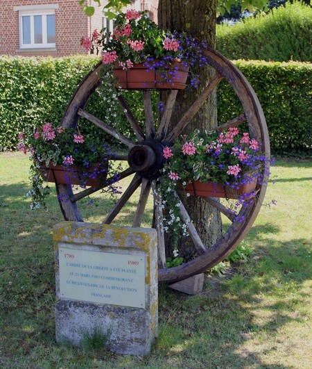 Hargnies, arbre de la liberté