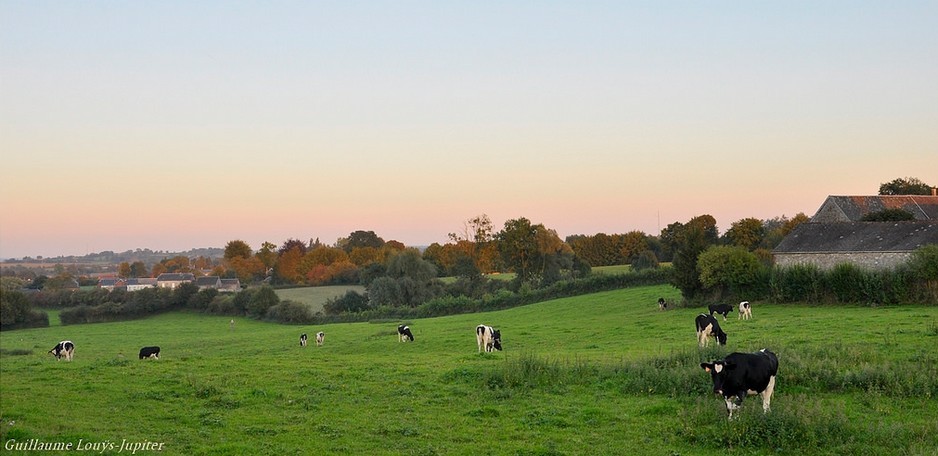 Paysage automnal  à Haut Lieu.