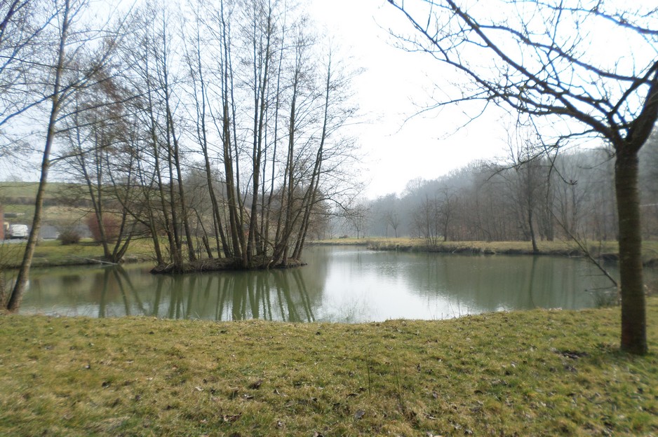 Etang à Hestrud.