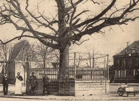 Le kiosque à musique d'Avesnelles sur une carte postale ancienne.