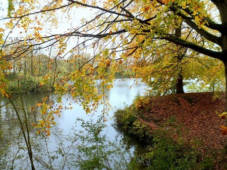 Etang de Le Quesnoy