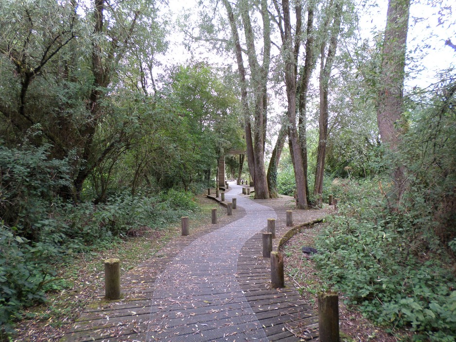 Sentier de promenade autour du bras mort de Leval.