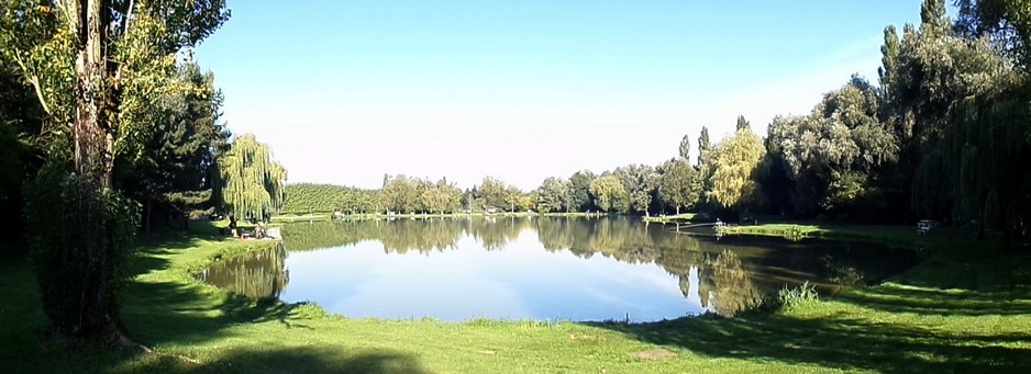 Etang de la Cressonière  à Leval.