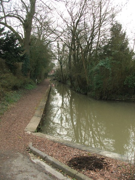 L'Ecaillon à Louvignies Quesnoy