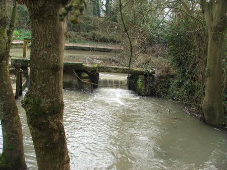 Vanne sur l'Ecaillon à Louvignies Quesnoy