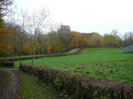 Paysage à Marbaix