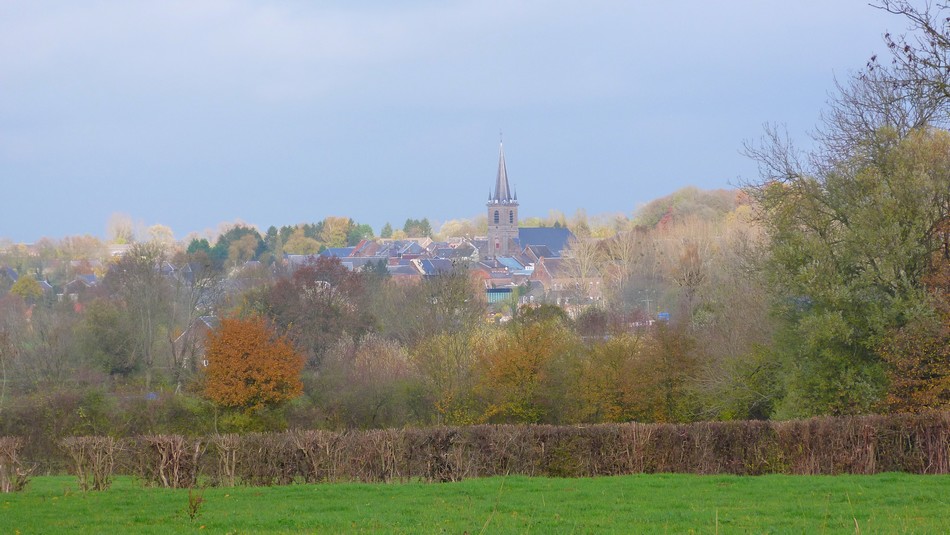 Le bocage à Maroilles