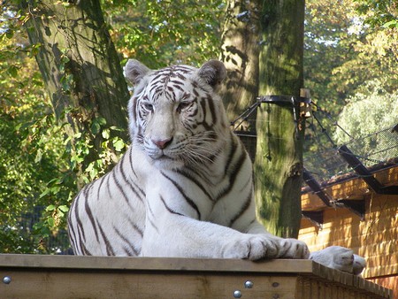 Zoo de Maubeuge