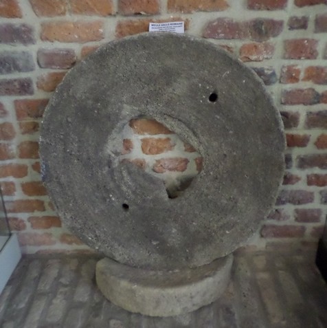 Musée des Évolutions à Bousies, 