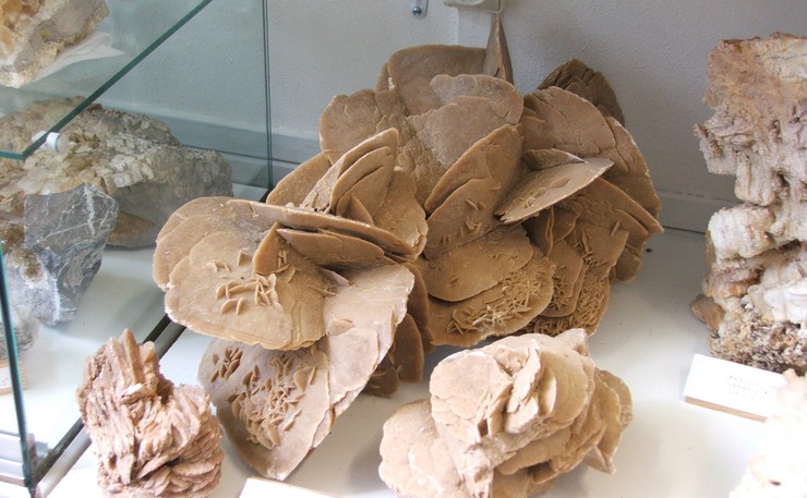 Musée des Minéraux et des Fossiles à Landrecies