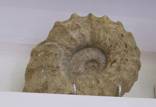 Musée des Minéraux et des Fossiles à Landrecies