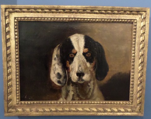 Musée Henri Boëz, chien