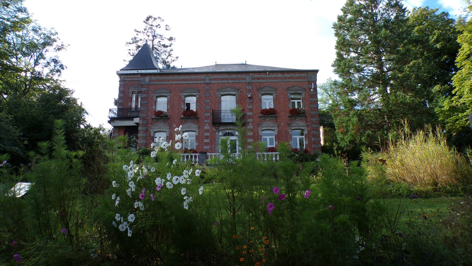 Maison du Bocage à Sains du Nord, parterre de fleurs