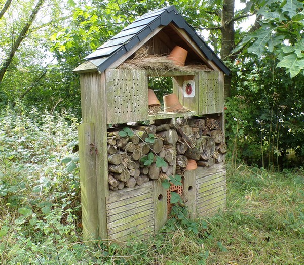 Maison du Bocage à Sains du Nord, cabane à insectes