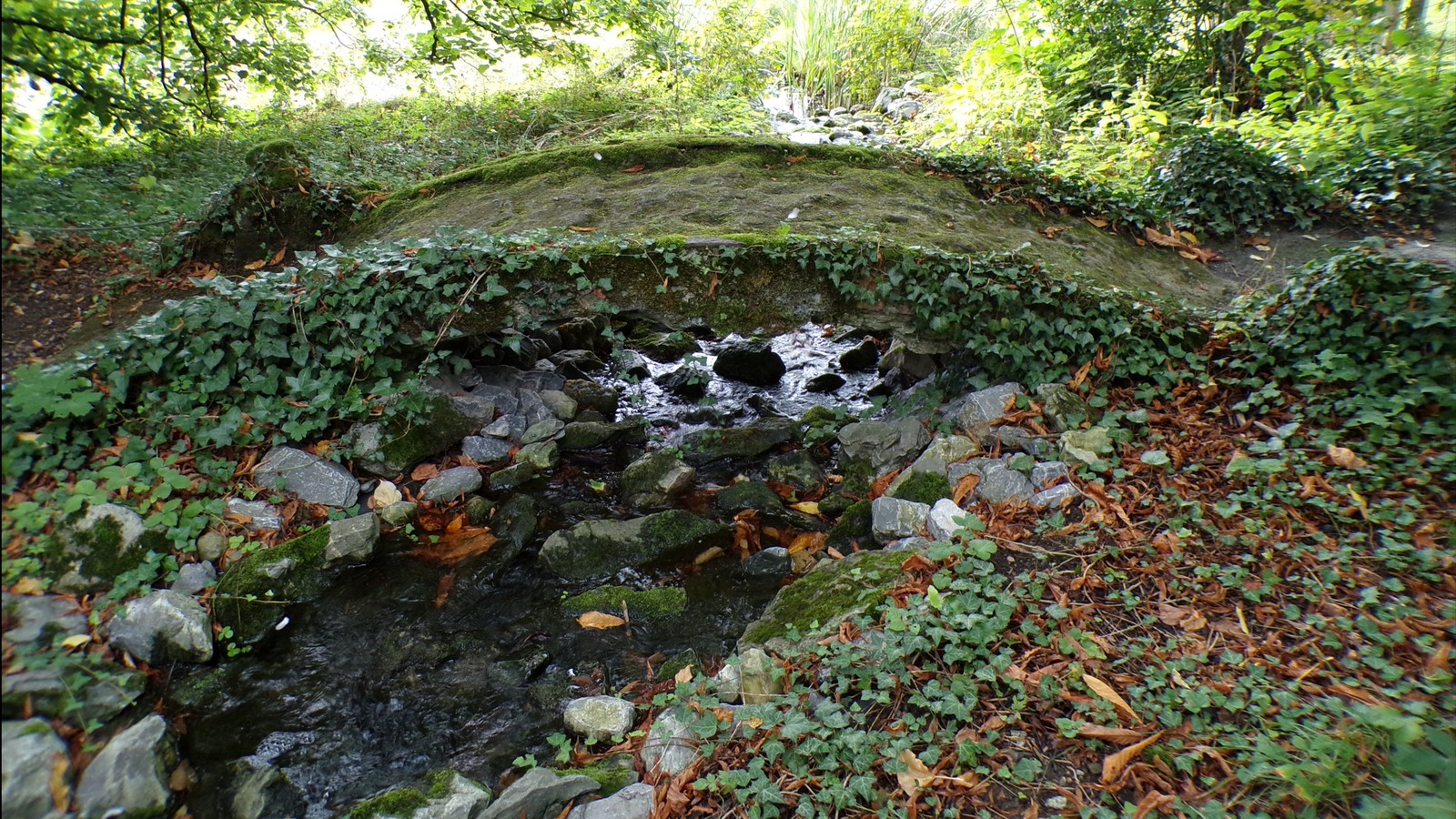 Maison du Bocage à Sains du Nord, le pont et la cascade